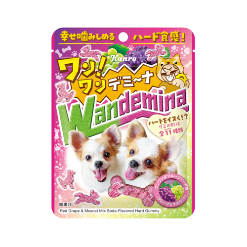 ワンワンデミーナグミ