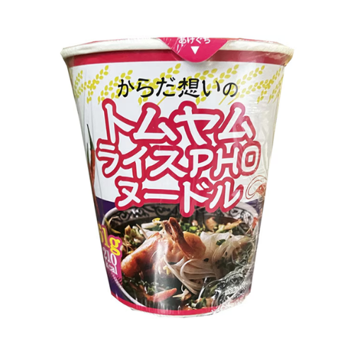 からだ想いのトムヤムライスPHOヌードル