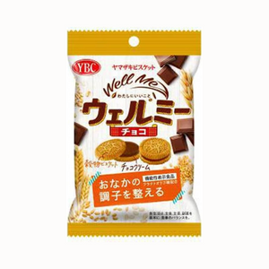 Chocolate Shaved Ice [Kawaguchi Casty]